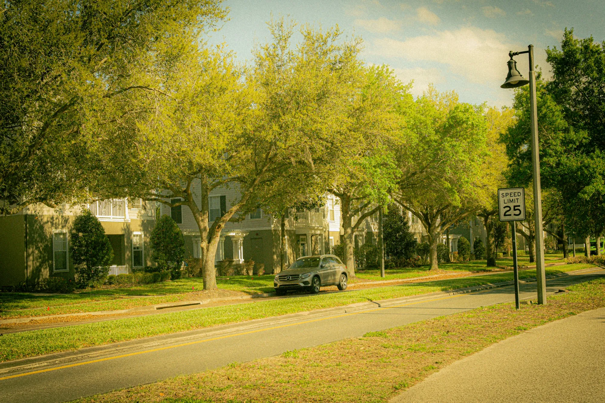 A tree-lined residential street in the afternoon